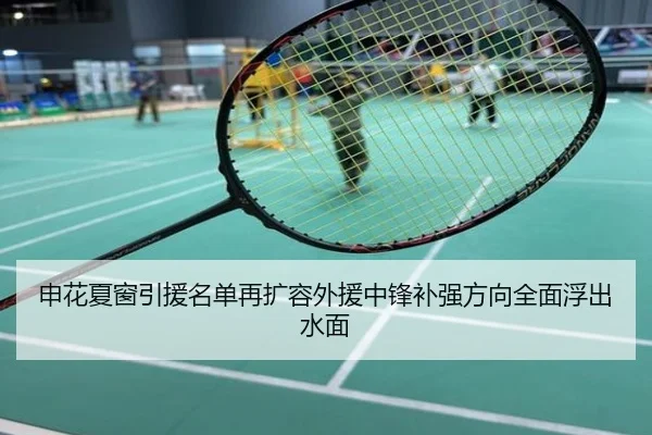 申花夏窗引援名单再扩容外援中锋补强方向全面浮出水面